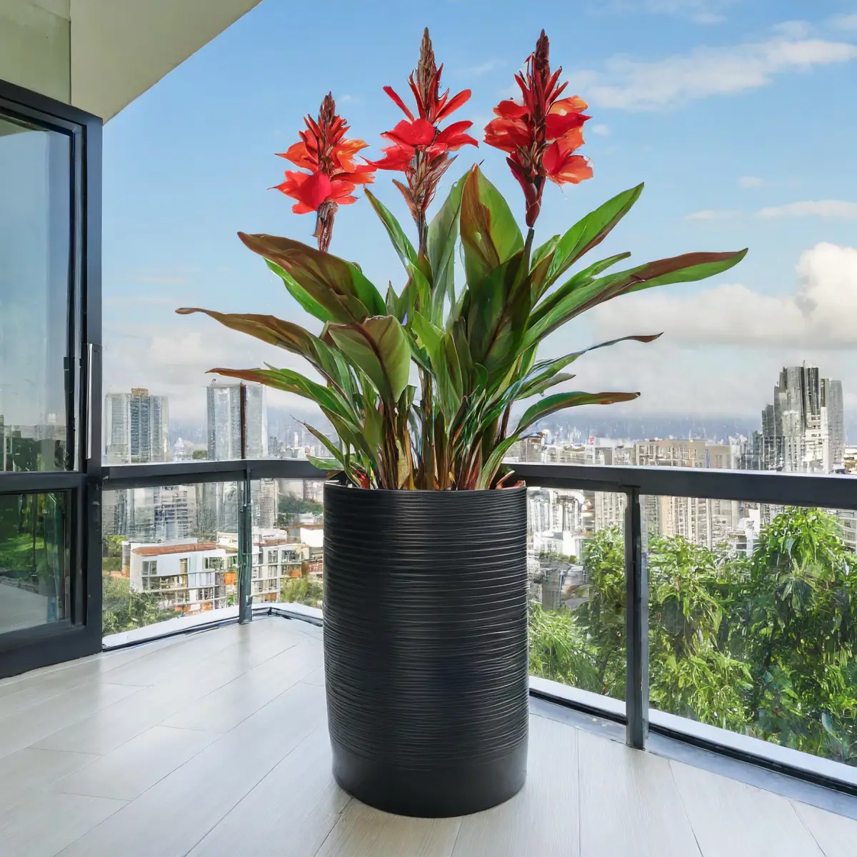 Jaką donicę wybrać dla kanny? Poradnik dla miłośników roślin i designu.