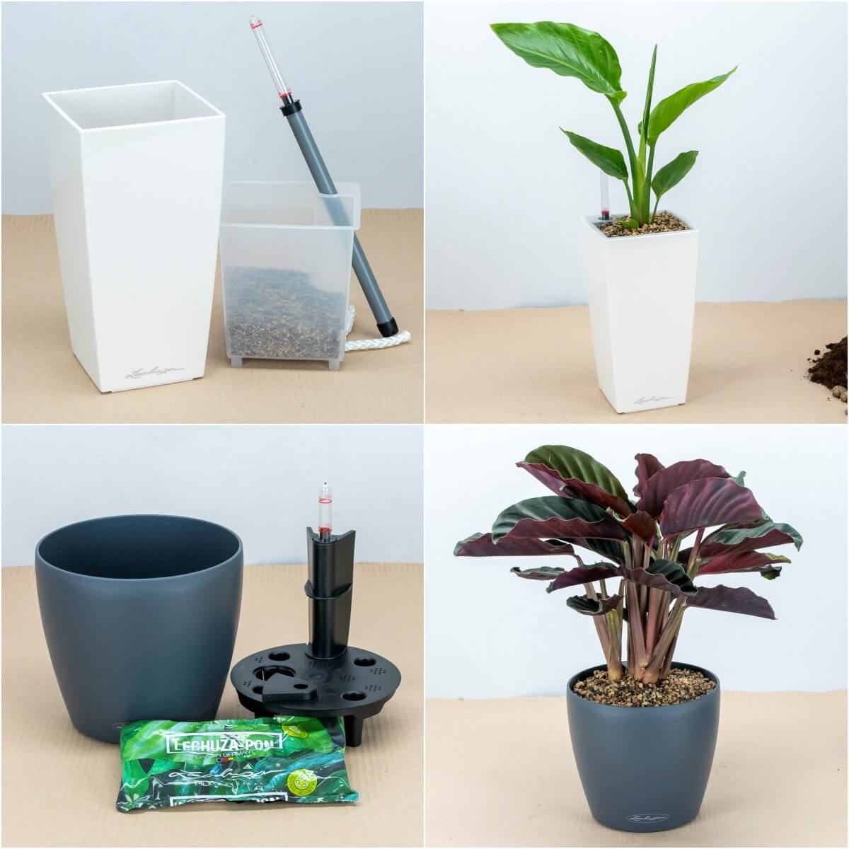 Jak sadzić rośliny w donicach LECHUZA?