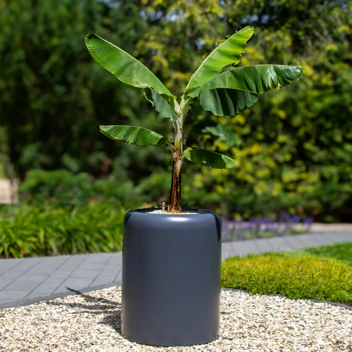 Donice ogrodowe – jak wybrać idealne donice do ogrodu i na taras?