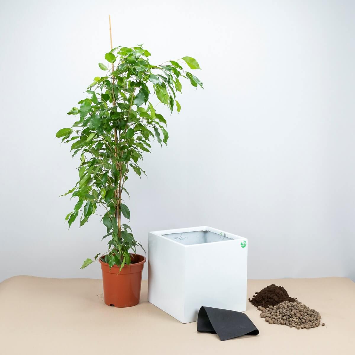 Jak sadzić rośliny w donicach ZADORA ?