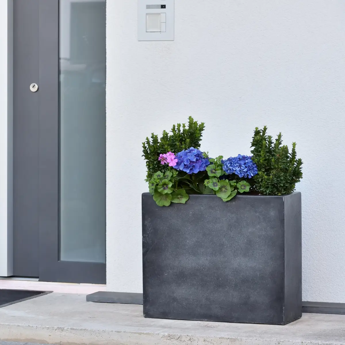 Jakie kwiaty do donic betonowych?