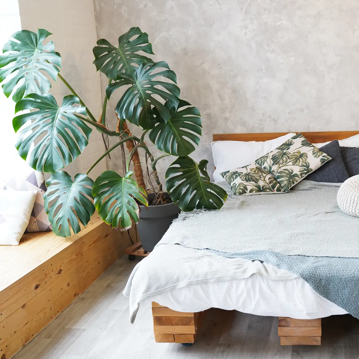 Jakie kwiaty do sypialni?