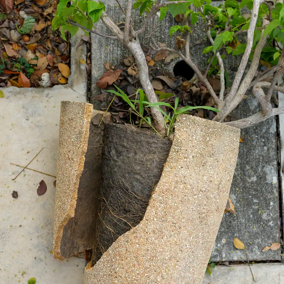 Najczęstsze błędy przy wyborze donic ogrodowych i ich realne konsekwencje.