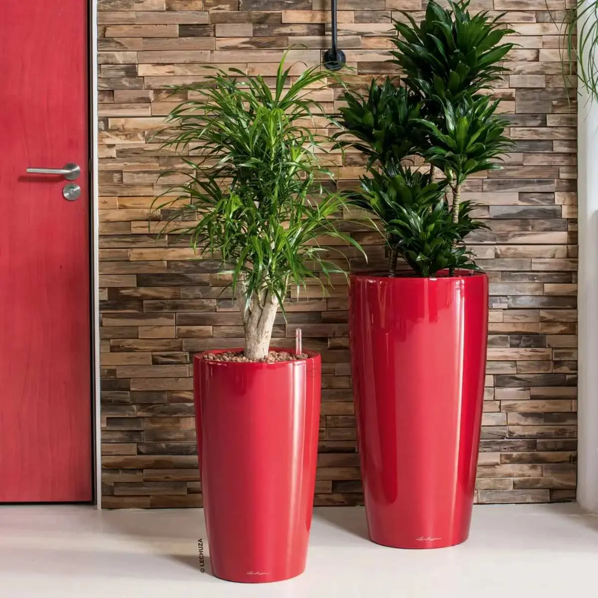 Kolorowe donice we wnętrzu - jak je aranżować, by uzyskać harmonię?