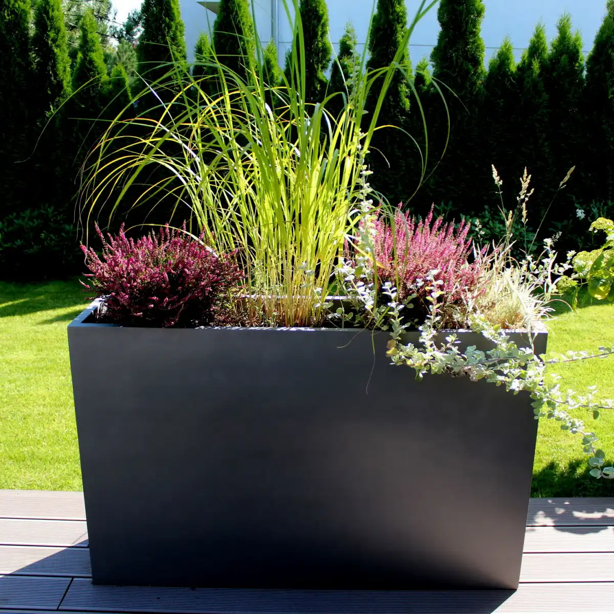 Roślinność tarasowa i balkonowa odporna na wiosenne anomalie pogodowe