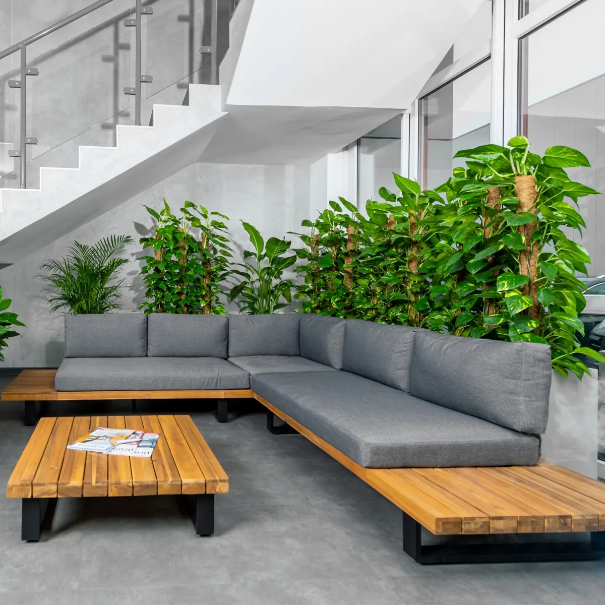 Rola roślin w nowoczesnym biurze - oddech, harmonia i social distancing.