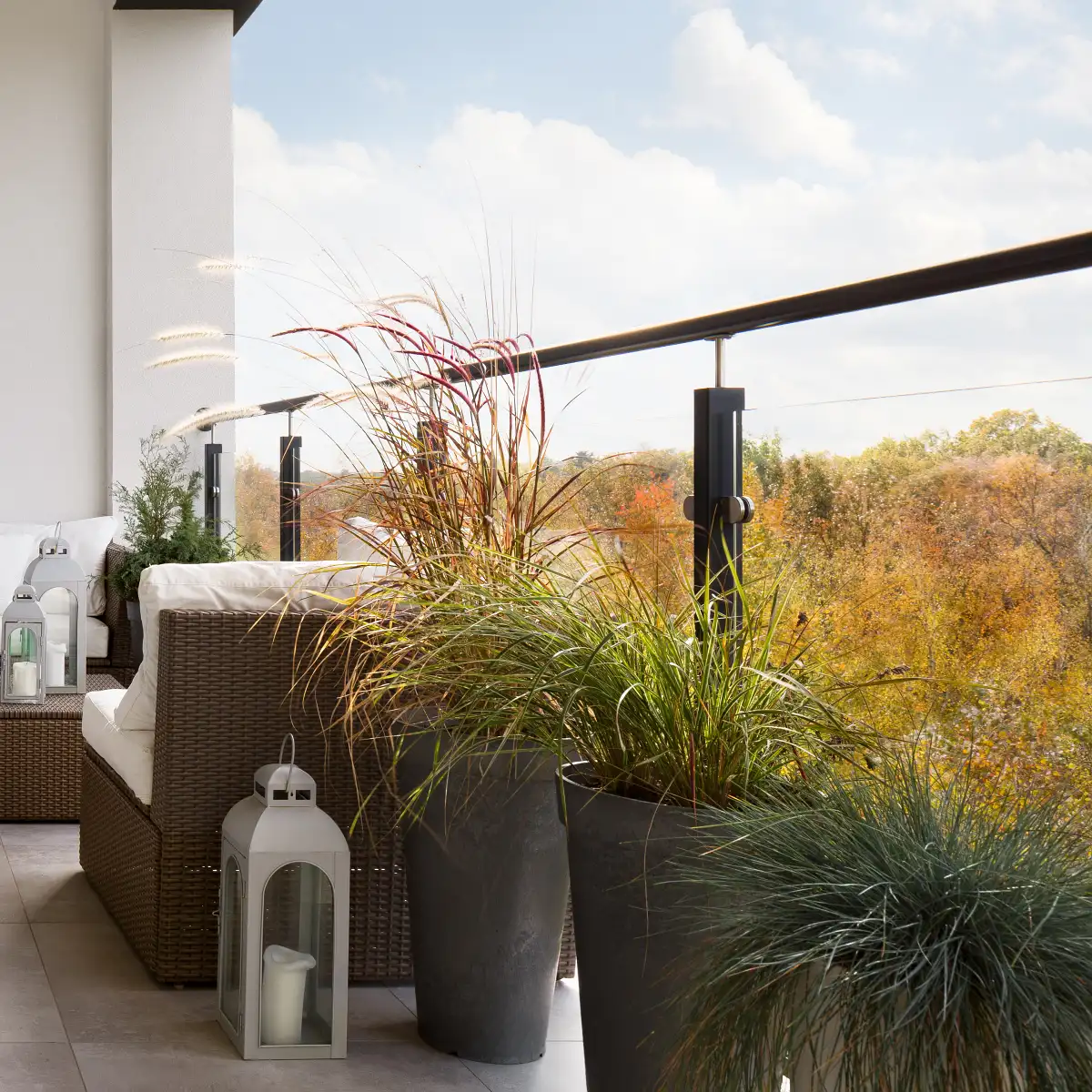 Przegląd popularnych odmian traw ozdobnych.