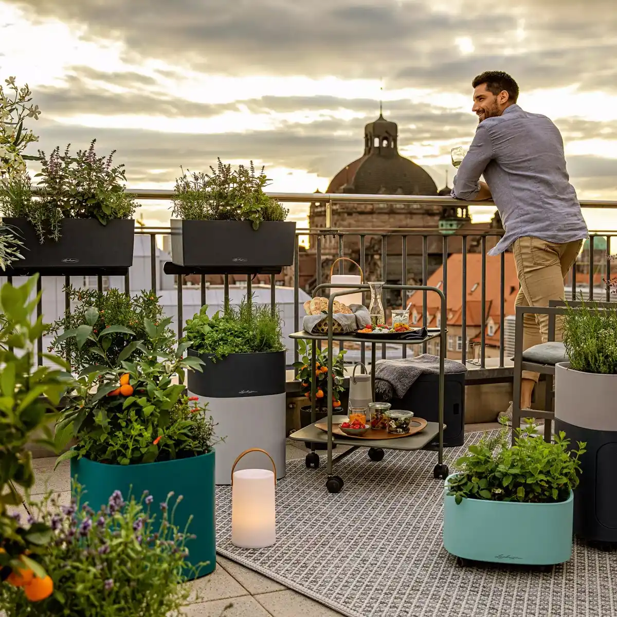 Jakie zioła na balkon?