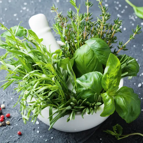 Doniczki do ziół - jakie wybrać?