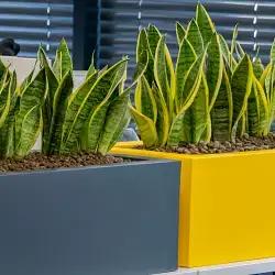 Donice z polietylenu