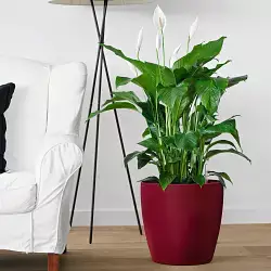 Doniczki - przekrój okrągły