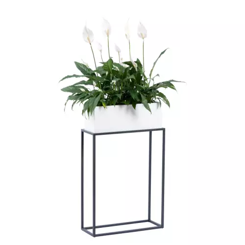 Donica D109AS biały połysk na antracytowym stojaku S109AS