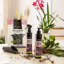 Nawóz w płynie Lechuza Perfect Orchid Fluid 250 ml