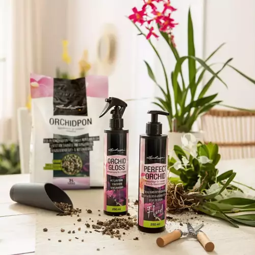 Nabłyszczacz do liści storczyków Lechuza Orchid Gloss 250 ml