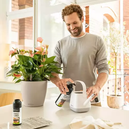 Koncentrat płynnego nawozu Lechuza Perfect Flower Fluid