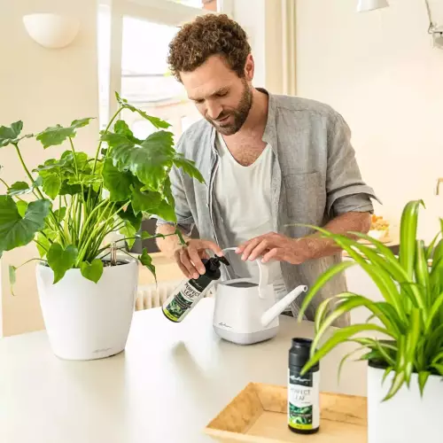 Koncentrat płynnego nawozu Lechuza Perfect Leaf Fluid