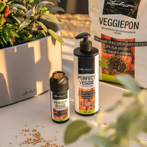 Koncentrat płynnego nawozu do warzyw Lechuza Perfect Veggie