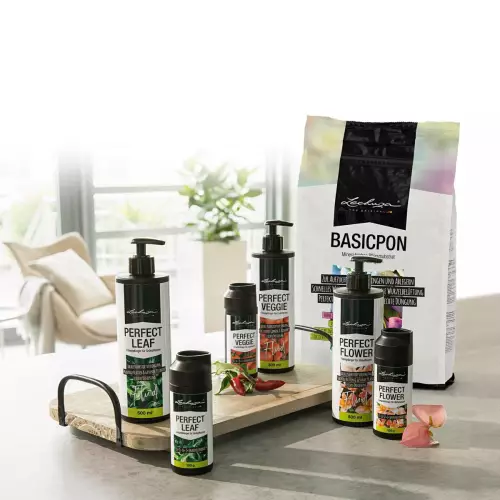 Seria nawozów i odżywek do roślin ozdobnych marki Lechuza